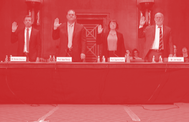 Four people standing up and being sworn in at the US Senate subcommittee hearing (screengrab, coloured)